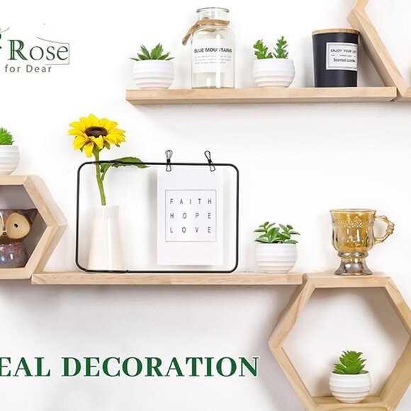 NEW Set of 6 Succulents Plants Artificial in Pots Small Fake Plants. - Picture 5 of 9